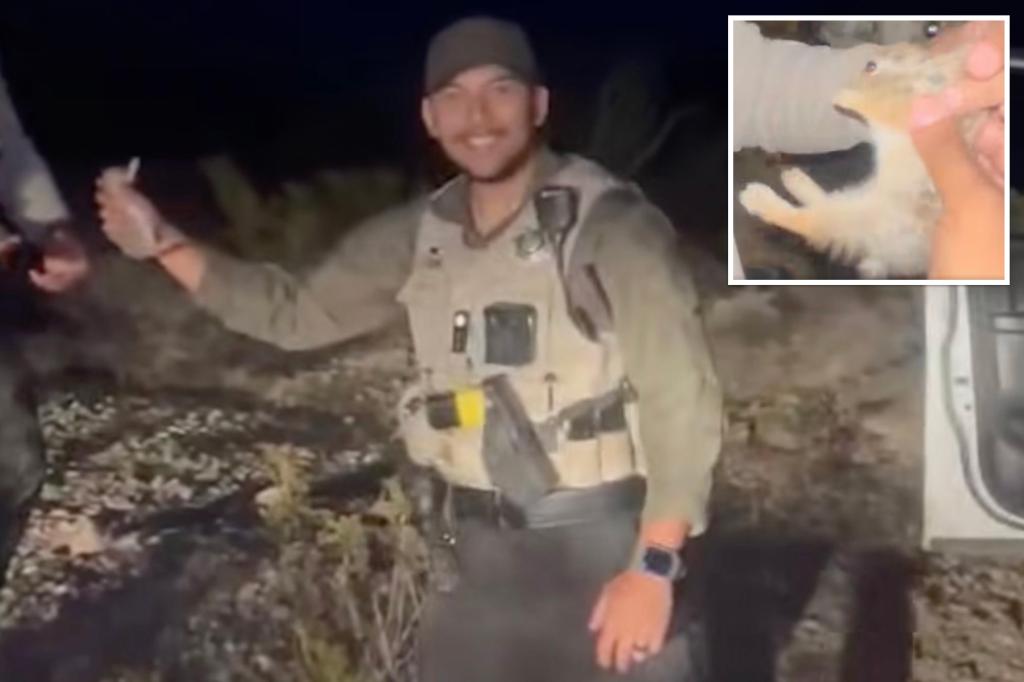 police-officer-taser-threat-animal-cruelty