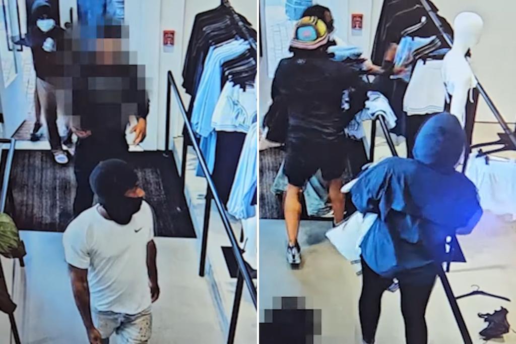 retail-theft-alo-store-dc